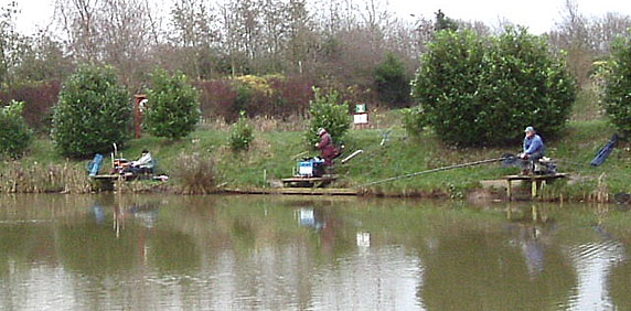 Coarse Fishing Pond